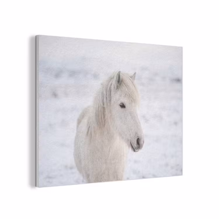 Paard - Kop - Winter - Dieren - Wit PET vilt klein -3d