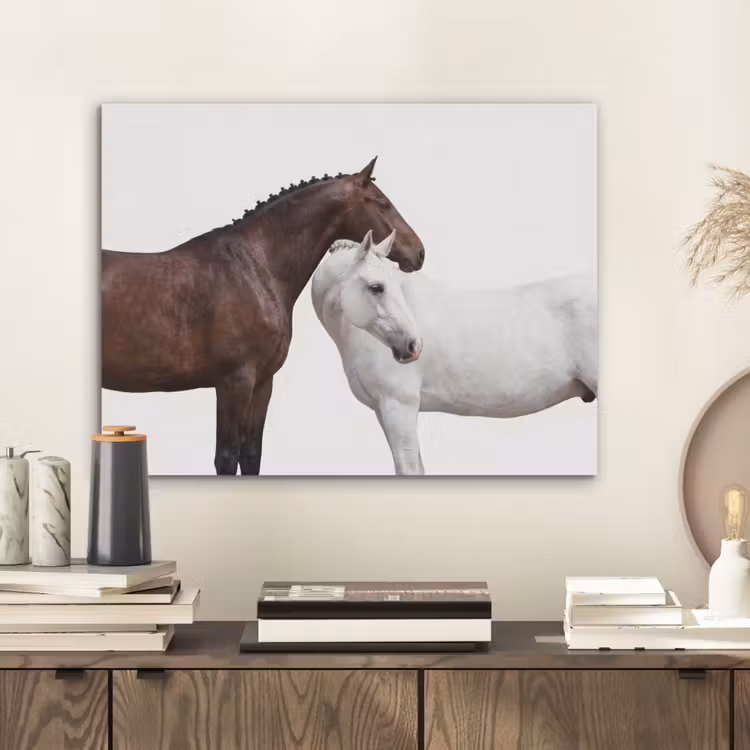Paard - Modern - Balans PET vilt klein -sfeer1