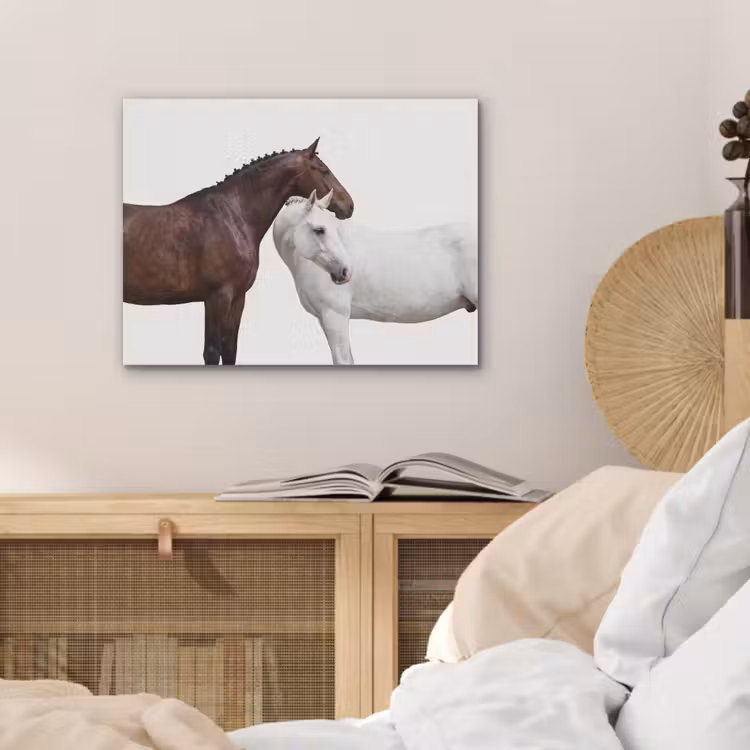 Paard - Modern - Balans PET vilt klein -sfeer3