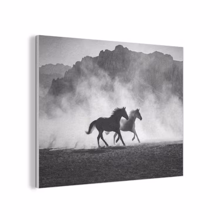 Paard - Ren - Stof - Zwart-wit - Dieren PET vilt klein -3d