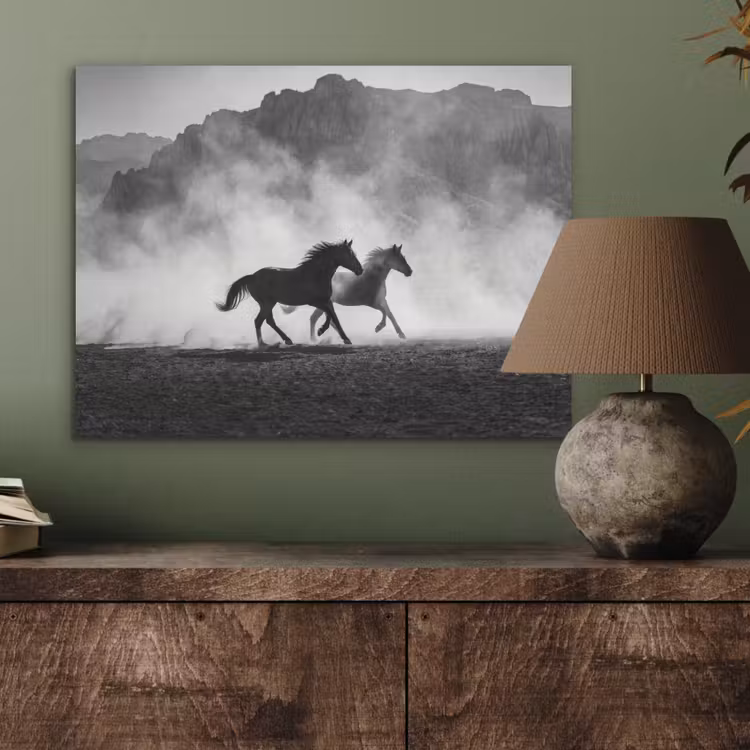 Paard - Ren - Stof - Zwart-wit - Dieren PET vilt klein -sfeer2