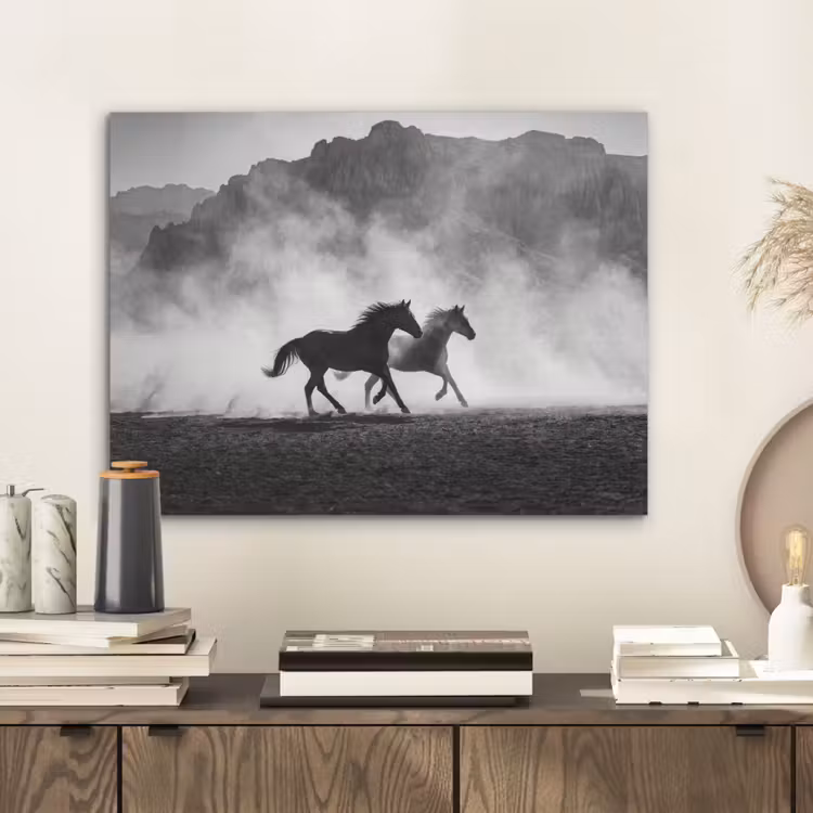 Paard - Ren - Stof - Zwart-wit - Dieren PET vilt klein -sfeer1