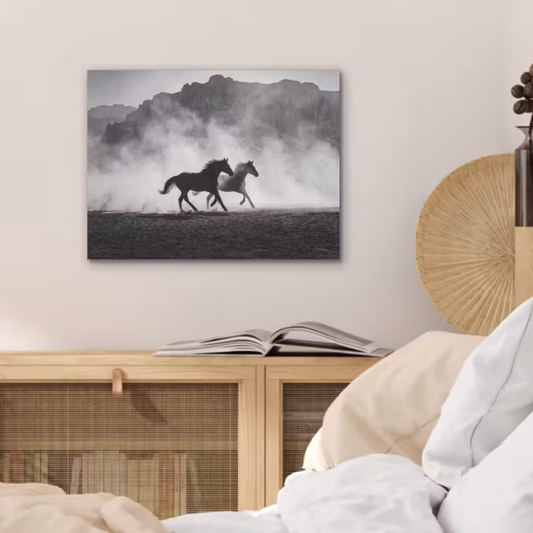 Paard - Ren - Stof - Zwart-wit - Dieren PET vilt klein -sfeer3
