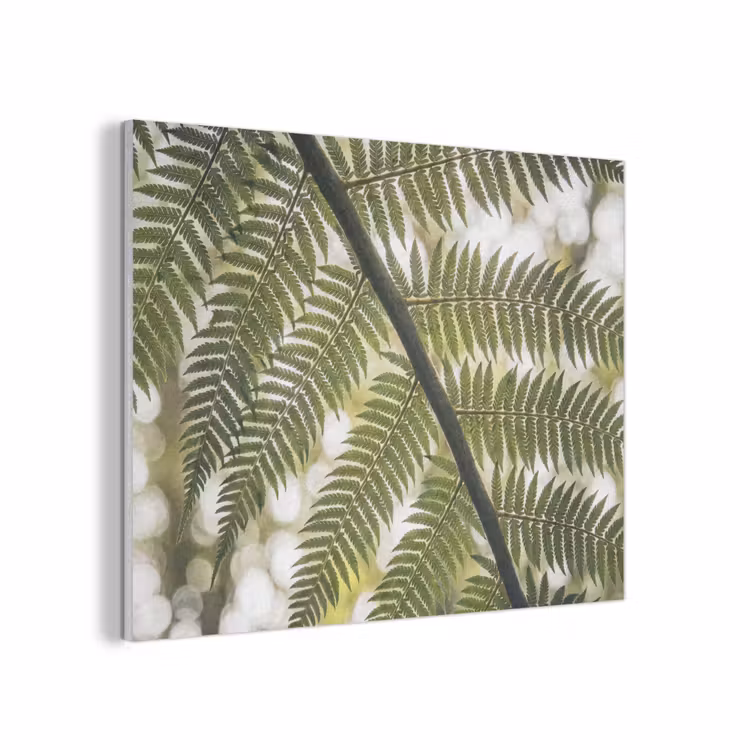 Plant - Blad - Natuur - Groen - Detail PET vilt klein -3d