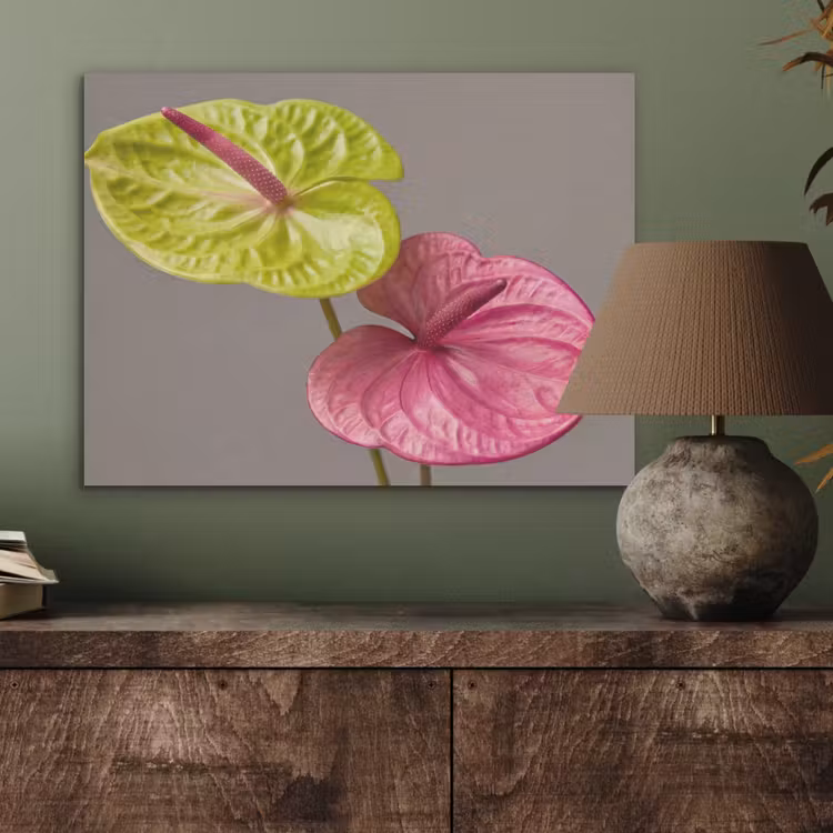 Planten - Anthurium - Groen - Roze PET vilt klein -sfeer2