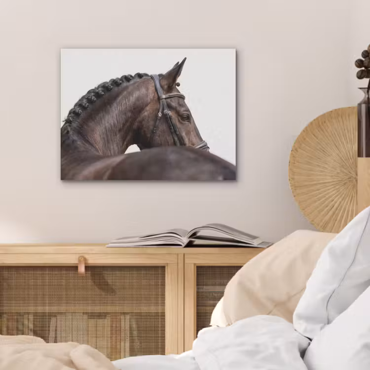 Portret - Paard - Elegant PET vilt klein -sfeer3