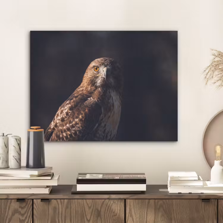Roofvogel - Buizerd - Bruin PET vilt klein -sfeer1