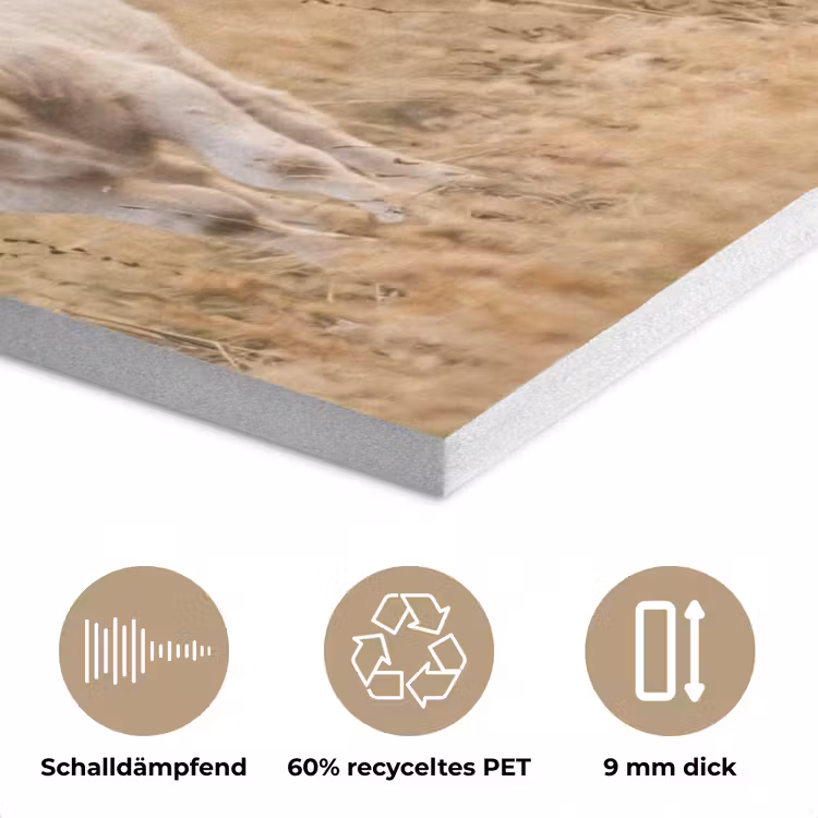 Runderen - Kudde - Landschap - Weide - Rustig PET vilt klein -closeup_DE