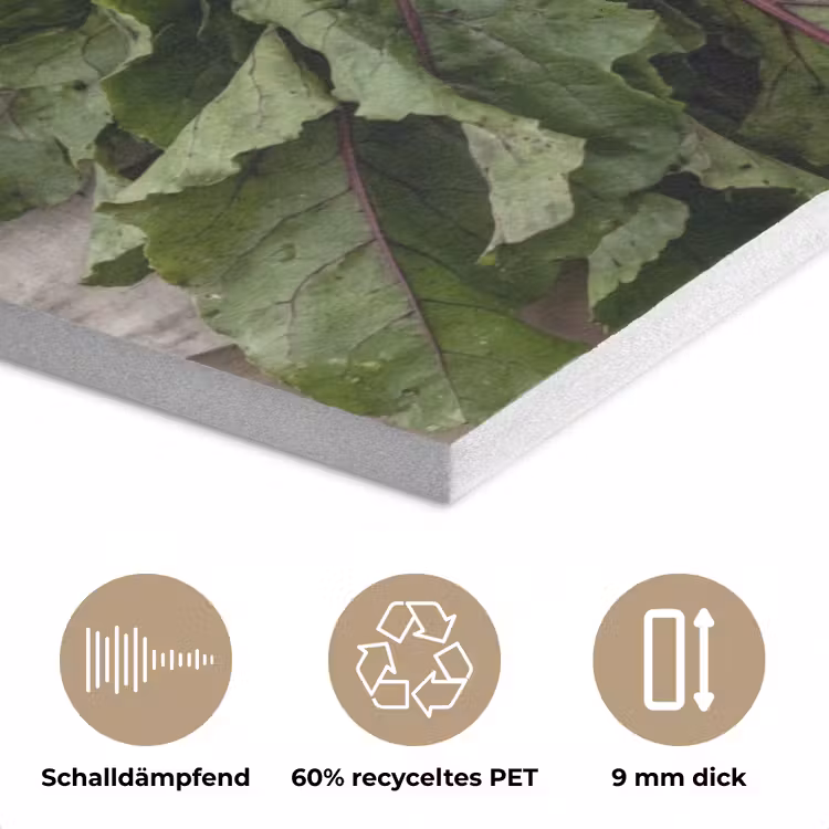 Bieten - Vers - Moestuin PET vilt klein -closeup_DE
