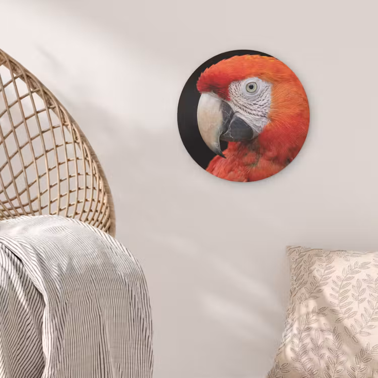 Ara - Portret - Rood Akoestische PET Vilt - Rond klein -sfeer4