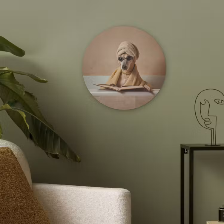 Bad - Hond - Boek - Zonnebril Akoestische PET Vilt - Rond klein -sfeer2