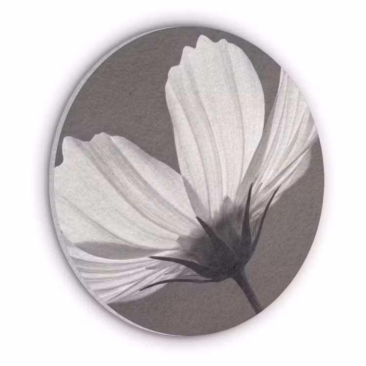 Bloem - Minimalistisch - Zwart - Wit Akoestische PET Vilt - Rond klein -3d