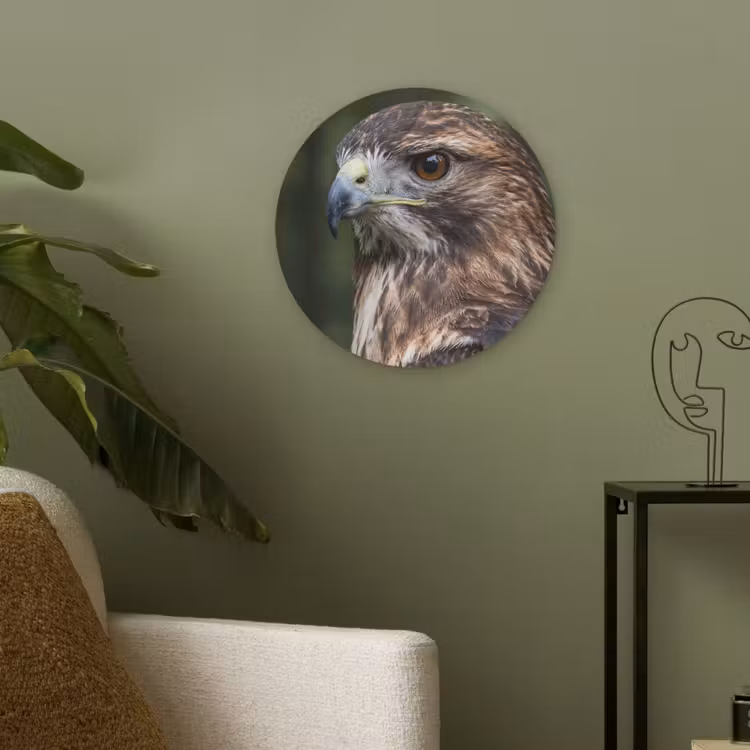 Buizerd - Roofvogel - Natuur - Bruin Akoestische PET Vilt - Rond klein -sfeer2