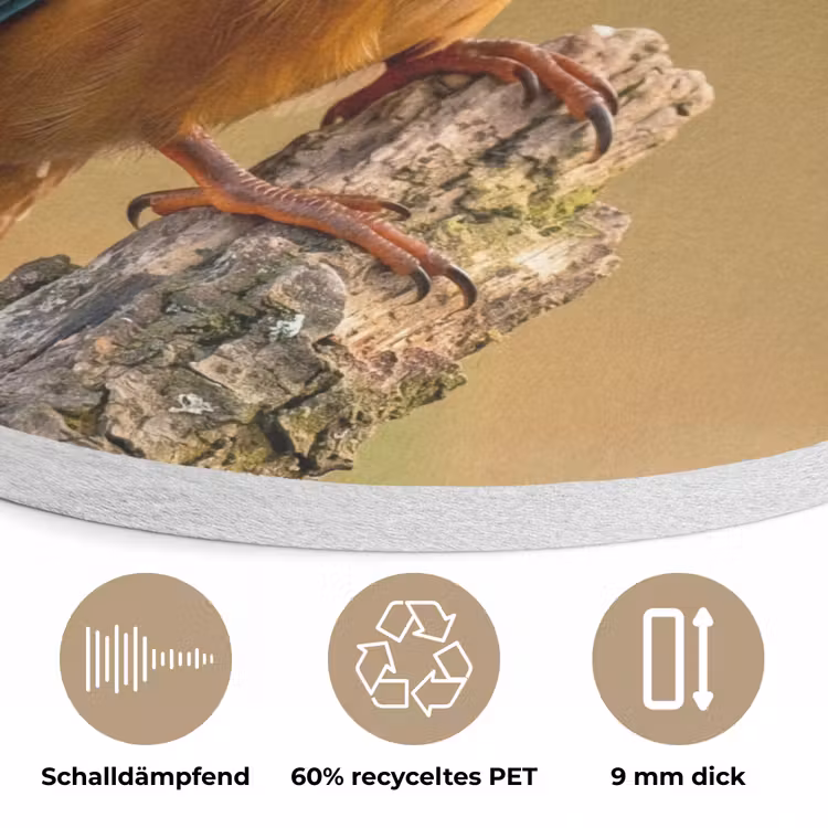 IJsvogel - Tak - Water - Kleurrijk - Levendig Akoestische PET Vilt - Rond klein -closeup_DE