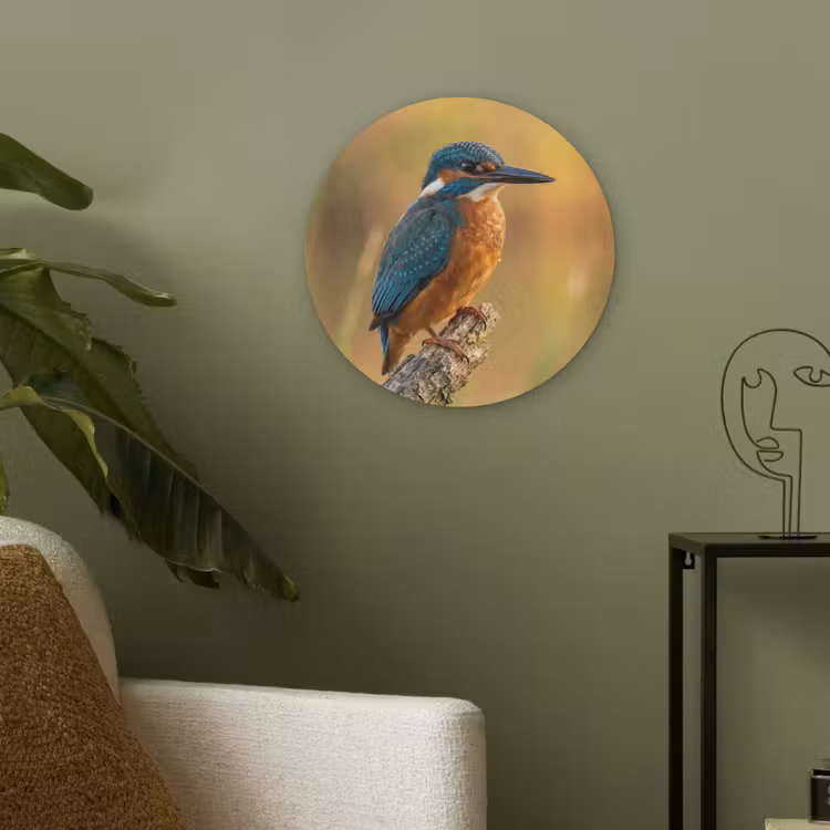 IJsvogel - Tak - Water - Kleurrijk - Levendig Akoestische PET Vilt - Rond klein -sfeer2
