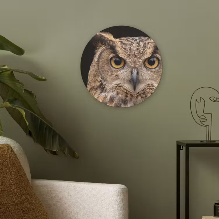 Oehoe - Uil - Portret - Bruin Akoestische PET Vilt - Rond klein -sfeer2