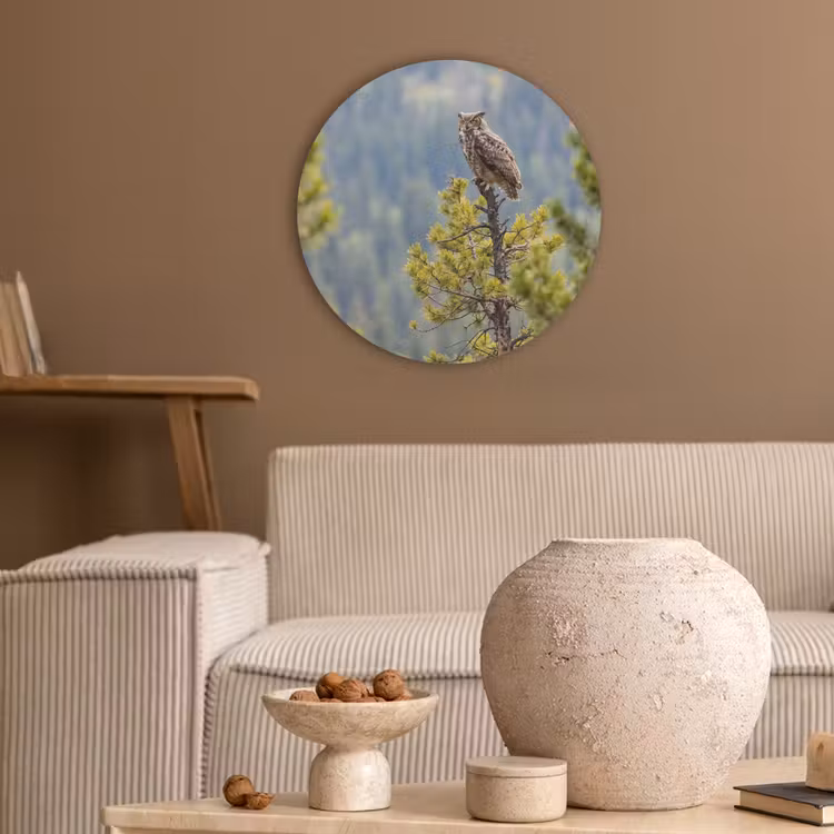Uil - Oehoe - Bomen - Natuur Akoestische PET Vilt - Rond klein -sfeer1