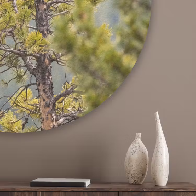 Uil - Oehoe - Bomen - Natuur Akoestische PET Vilt - Rond klein -sfeer5_closeup