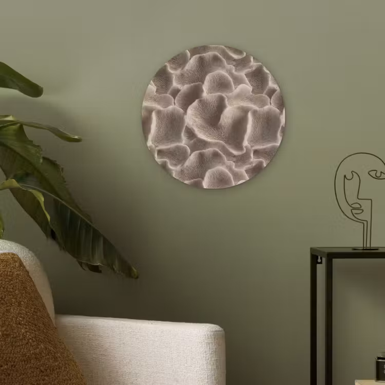 Waaiervorm - Beige - Vezel textuur Akoestische PET Vilt - Rond klein 838 -sfeer2