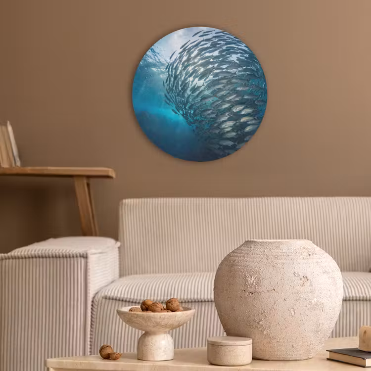 Vis - School - Oceaan - Natuur - Blauw Akoestische PET Vilt - Rond klein -sfeer1