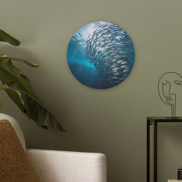 Vis - School - Oceaan - Natuur - Blauw Akoestische PET Vilt - Rond klein -sfeer2