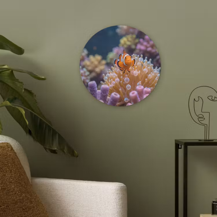 Vis - Koraal - Onderwater - Oranje - Dieren Akoestische PET Vilt - Rond klein -sfeer2