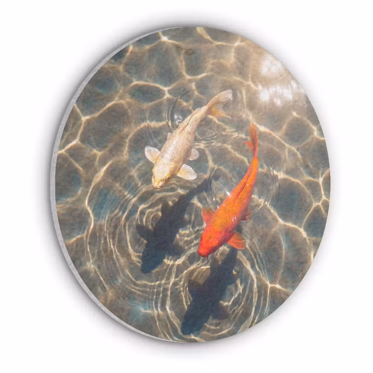 Vis - Water - Dieren - Oranje - Goud Akoestische PET Vilt - Rond klein -3d