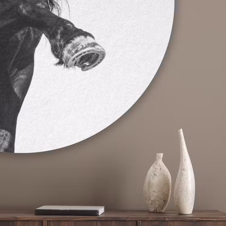 Fries - Hengst - Modern Akoestische PET Vilt - Rond klein -sfeer5_closeup