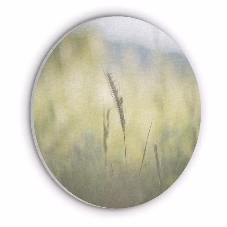 Graan - Aar - Natuur - Groen - Detail Akoestische PET Vilt - Rond klein -3d