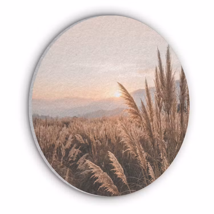 Gras - Veld - Zon - Natuur Akoestische PET Vilt - Rond klein -3d