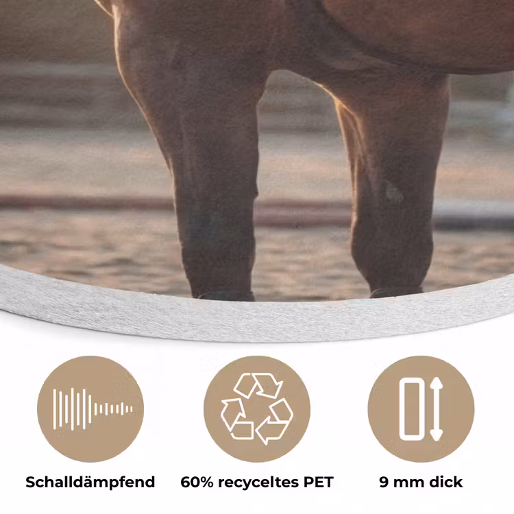 Harmonie - Ruiter - Zon Akoestische PET Vilt - Rond klein -closeup_DE