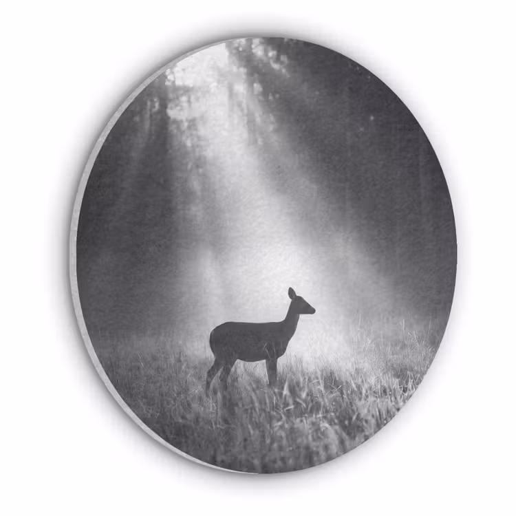 Hert - Bos - Zonnestralen - Zwart-wit - Natuur Akoestische PET Vilt - Rond klein -3d