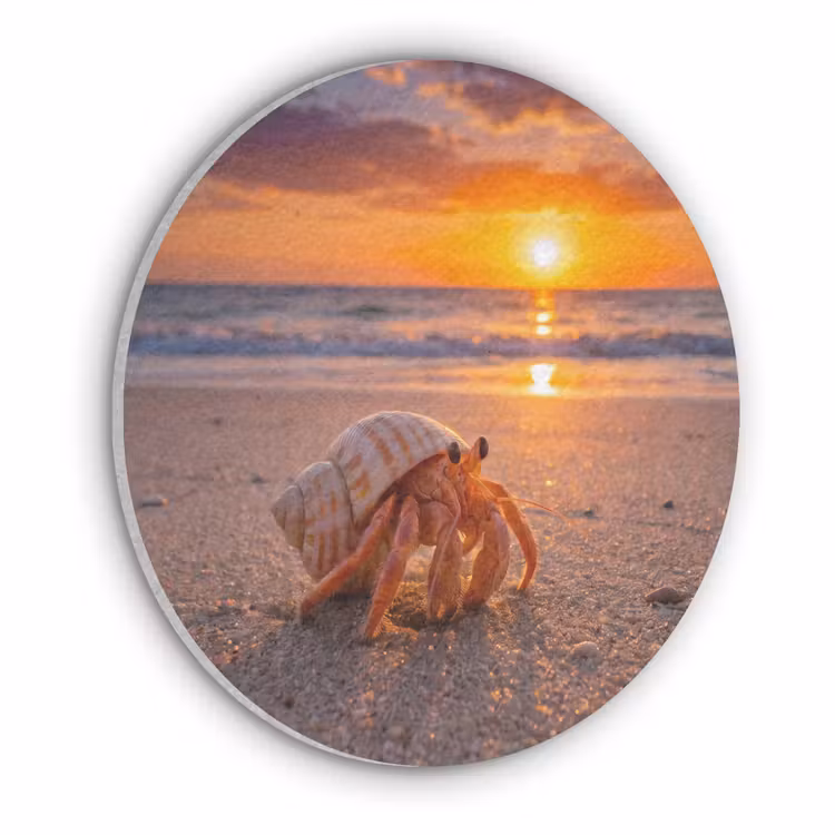 Kreeft - Strand - Natuur - Zonsondergang - Oranje Akoestische PET Vilt - Rond klein -3d
