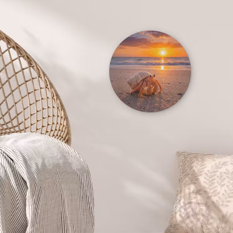Kreeft - Strand - Natuur - Zonsondergang - Oranje Akoestische PET Vilt - Rond klein -sfeer4