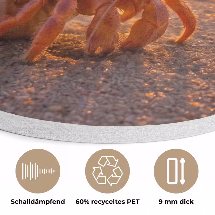 Kreeft - Strand - Natuur - Zonsondergang - Oranje Akoestische PET Vilt - Rond klein -closeup_DE