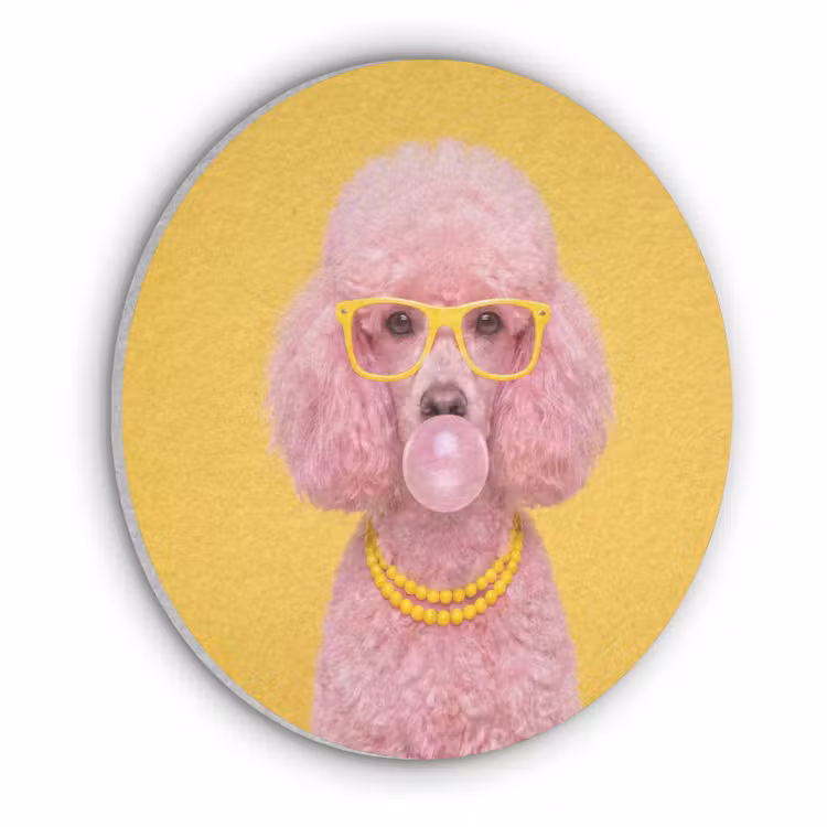 Hond - Kauwgum - Dieren - Modern - Roze Akoestische PET Vilt - Rond klein -3d