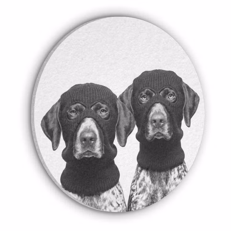 Honden - Bivakmuts - Zwart - wit Akoestische PET Vilt - Rond klein -3d