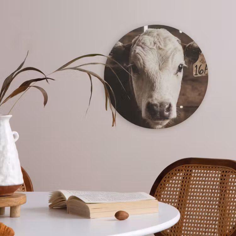 Kalf - Oormerk - Houten stal Akoestische PET Vilt - Rond klein -sfeer3