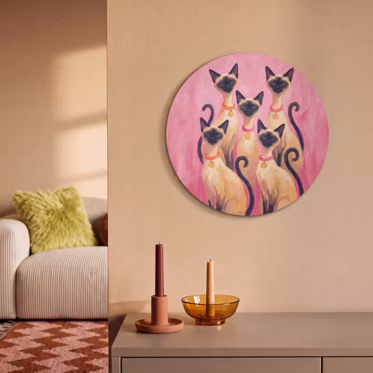 Kat - Groep - Dieren - Modern - Roze Akoestische PET Vilt - Rond klein -sfeer1