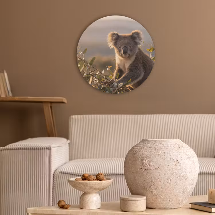Koala - Bladeren - Ochtendlicht Akoestische PET Vilt - Rond klein -sfeer1