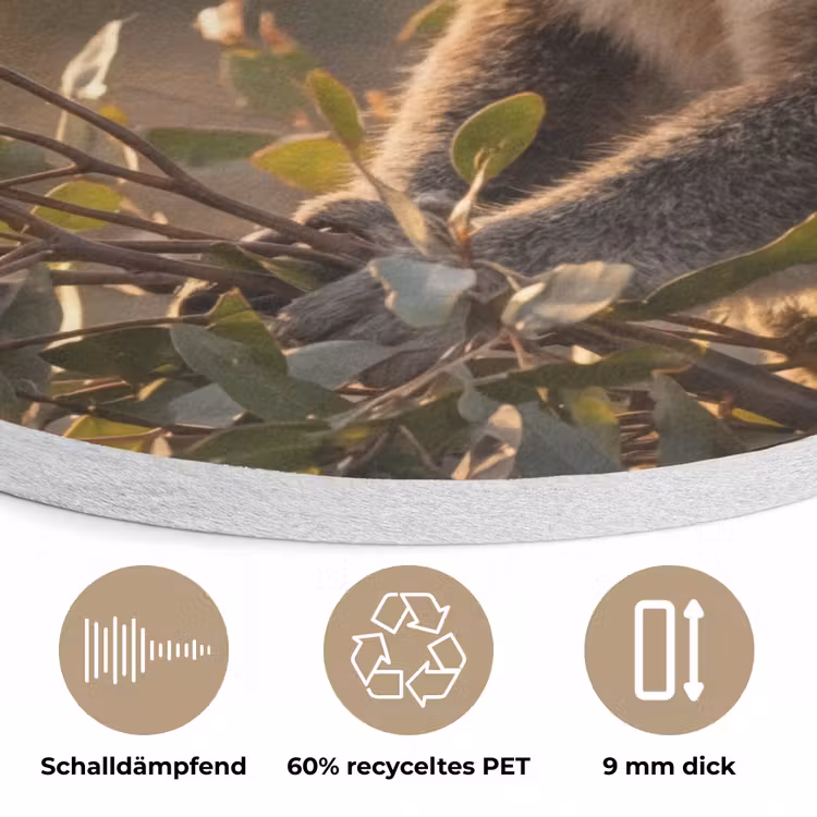 Koala - Bladeren - Ochtendlicht Akoestische PET Vilt - Rond klein -closeup_DE