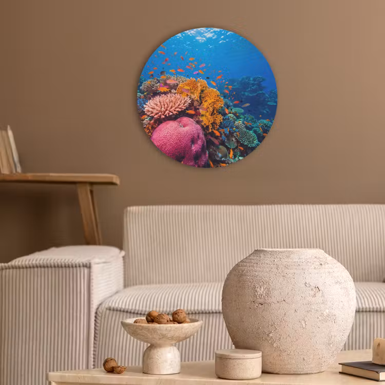 Koraal - Vissen - Oceaan - Natuur - Kleurrijk Akoestische PET Vilt - Rond klein -sfeer1