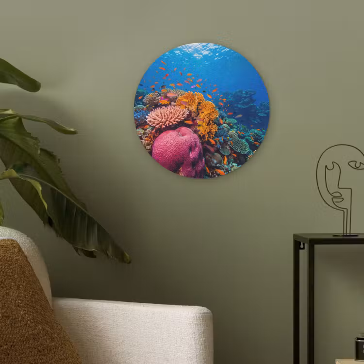 Koraal - Vissen - Oceaan - Natuur - Kleurrijk Akoestische PET Vilt - Rond klein -sfeer2