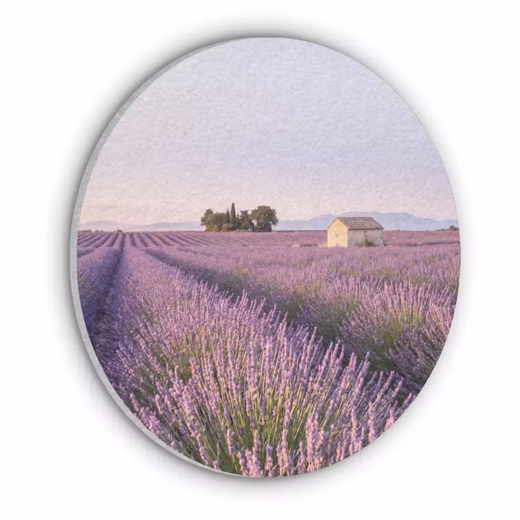 Lavendel - Landschap - Sereen - Paars Akoestische PET Vilt - Rond klein -3d