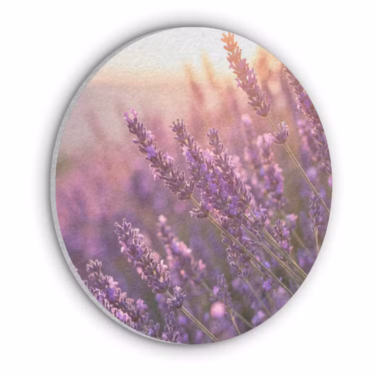Lavendel - Paars - Zonlicht Akoestische PET Vilt - Rond klein -3d