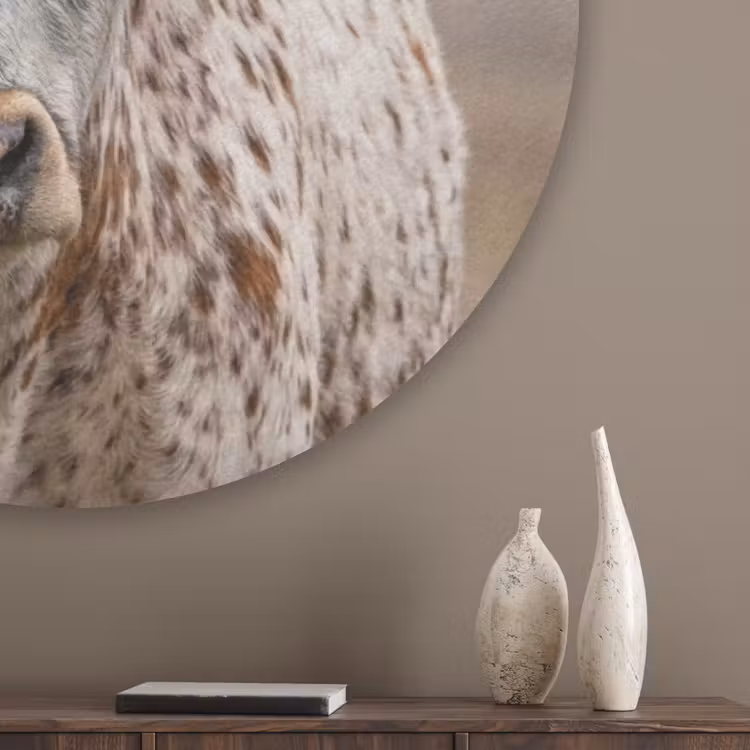 Longhorn - Grasveld - Dier Akoestische PET Vilt - Rond klein -sfeer5_closeup