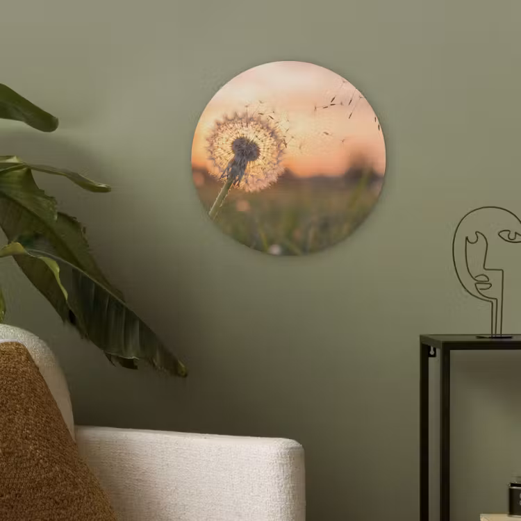 Paardenbloem - Zonsondergang - Veld Akoestische PET Vilt - Rond klein -sfeer2