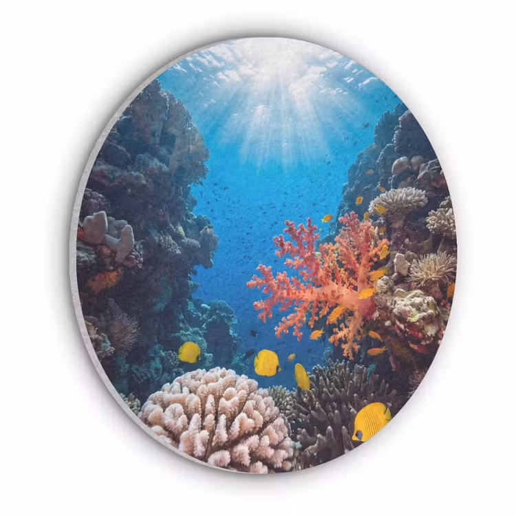 Zee - Koraalrif - Natuur - Levendig - Blauw Akoestische PET Vilt - Rond klein -3d