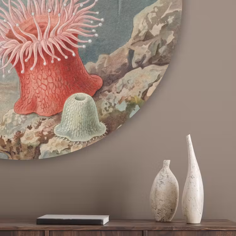 Zeeleven - Kwal - Onderwater - Illustratie - Beige Akoestische PET Vilt - Rond klein -sfeer5_closeup