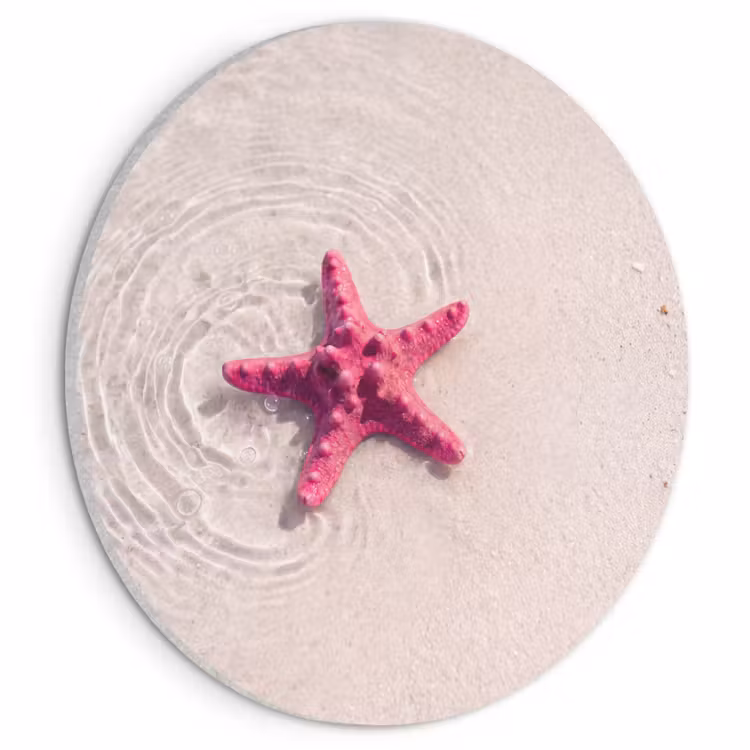 Zeeleven - Zeester - Strand - Roze - Water Akoestische PET Vilt - Rond klein -3d